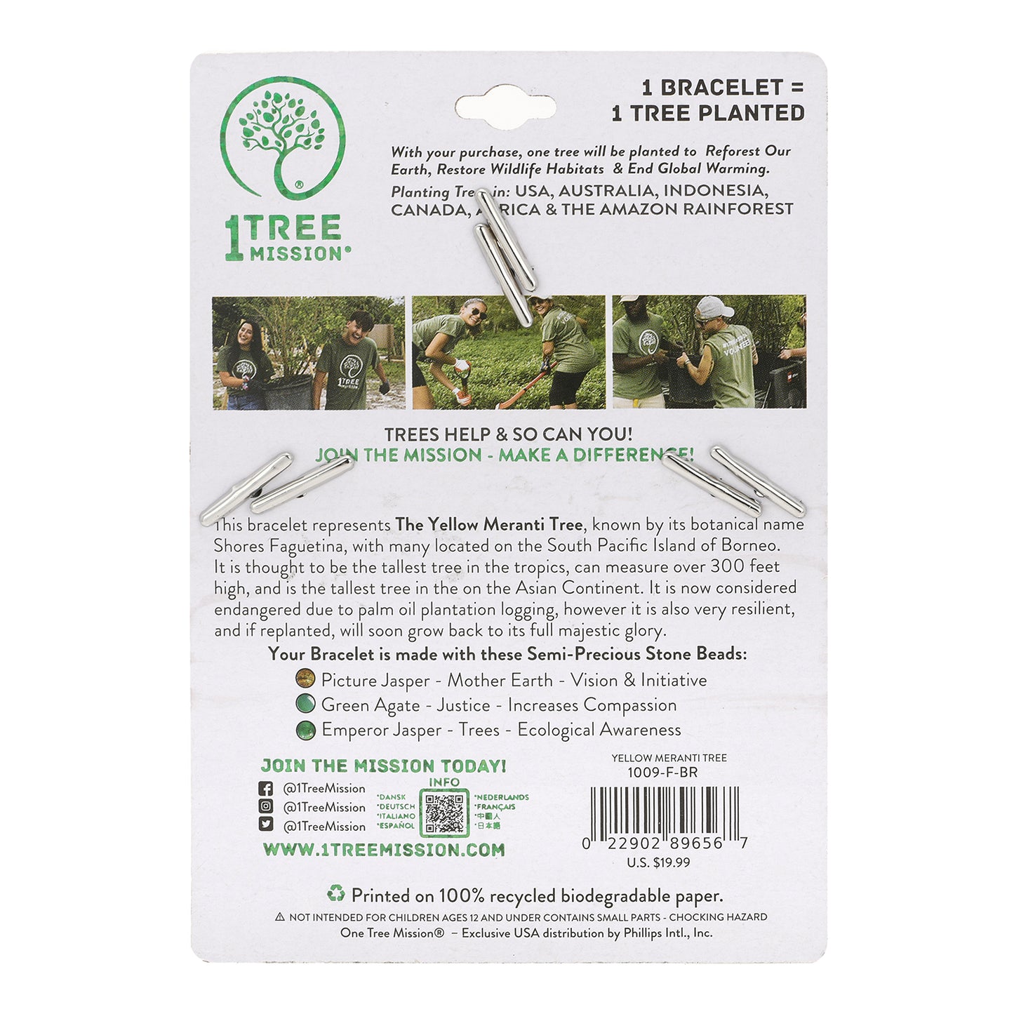 Yellow Meranti Tree - 1 Tree Mission®