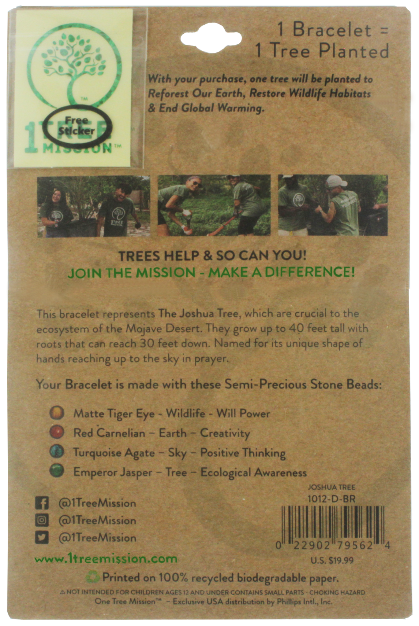 Oak hot sale tree bracelet